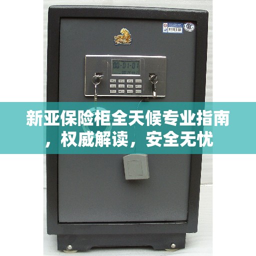 新亚保险柜全天候专业指南，权威解读，安全无忧