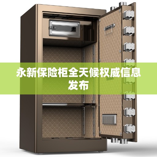 永新保险柜全天候权威信息发布
