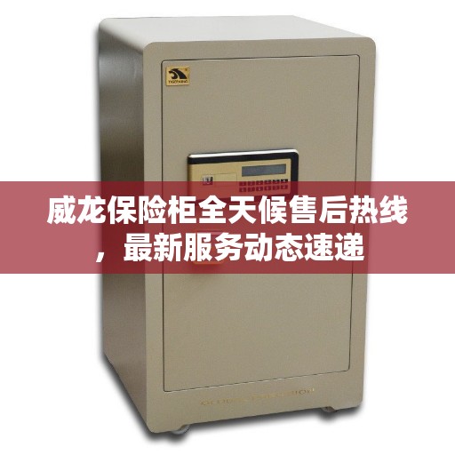 威龙保险柜全天候售后热线，最新服务动态速递