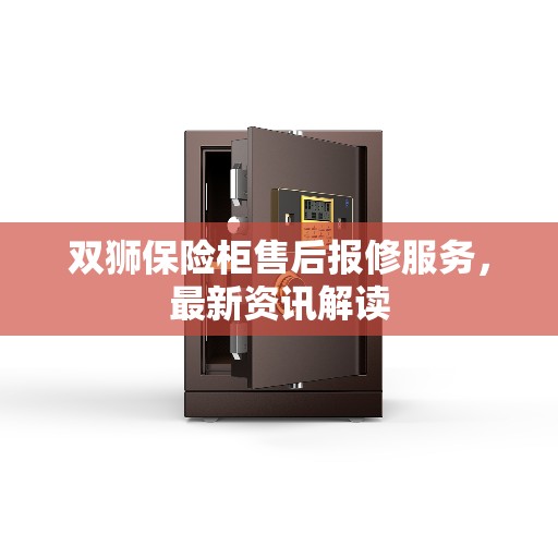 双狮保险柜售后报修服务，最新资讯解读