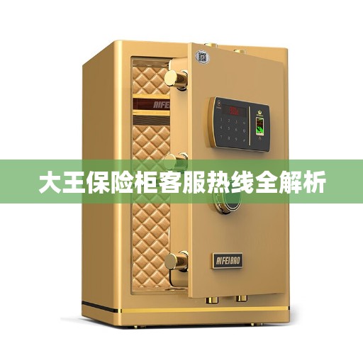 大王保险柜客服热线全解析