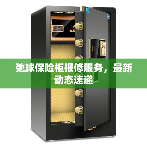 弛球保险柜报修服务，最新动态速递
