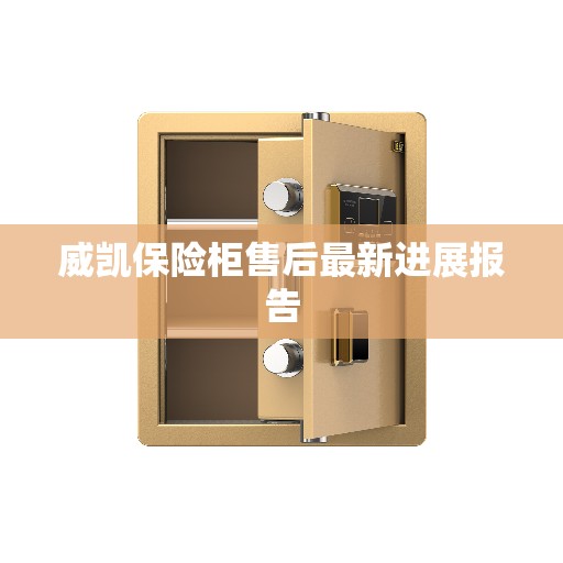 威凯保险柜售后最新进展报告
