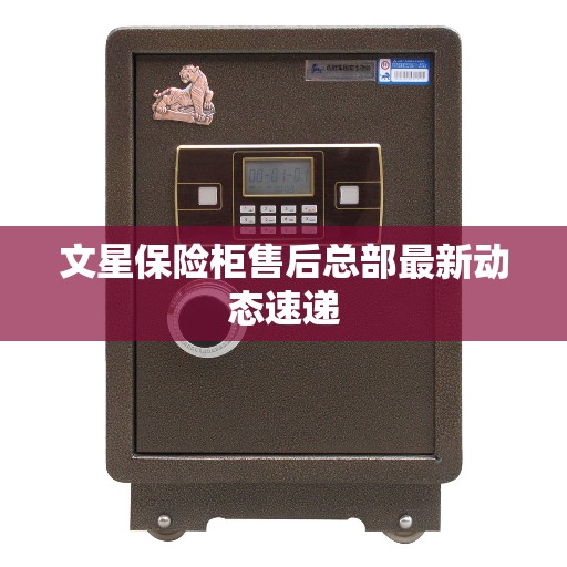 文星保险柜售后总部最新动态速递
