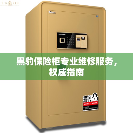 黑豹保险柜专业维修服务，权威指南