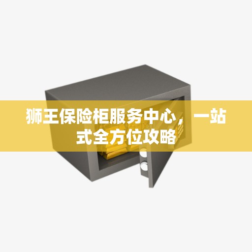 狮王保险柜服务中心，一站式全方位攻略
