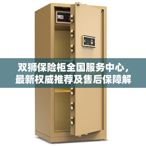 双狮保险柜全国服务中心，最新权威推荐及售后保障解析