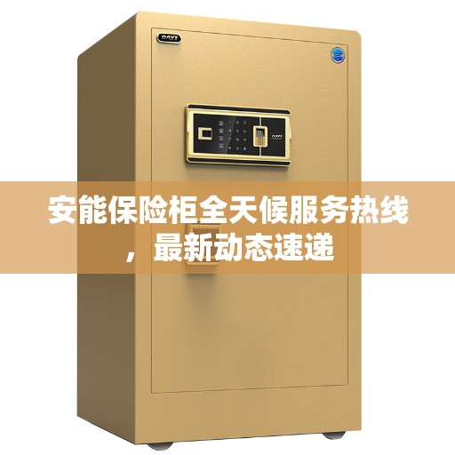 安能保险柜全天候服务热线，最新动态速递