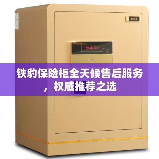 铁豹保险柜全天候售后服务，权威推荐之选