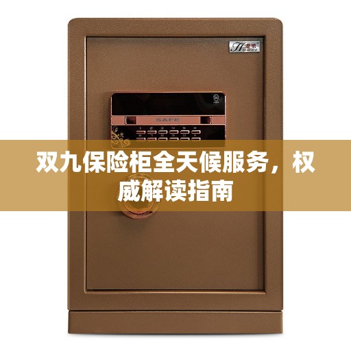 双九保险柜全天候服务，权威解读指南