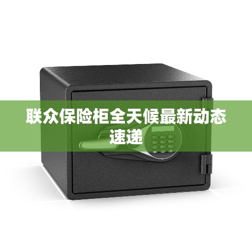 联众保险柜全天候最新动态速递