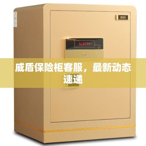 威盾保险柜客服，最新动态速递