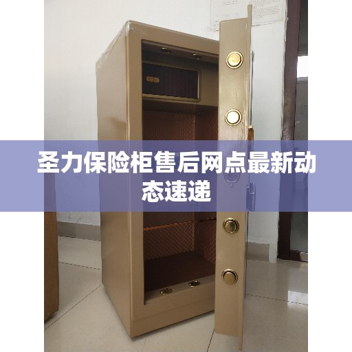 圣力保险柜售后网点最新动态速递