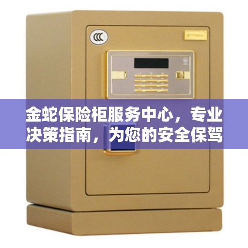 金蛇保险柜服务中心，专业决策指南，为您的安全保驾护航