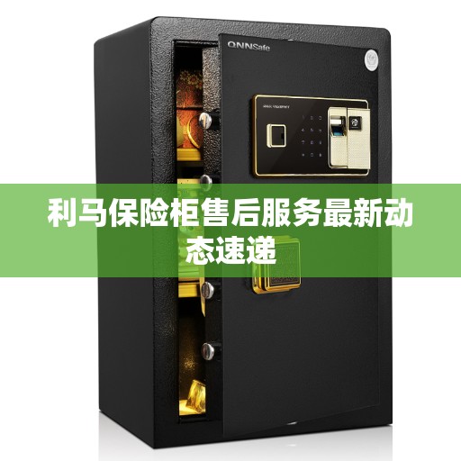 利马保险柜售后服务最新动态速递
