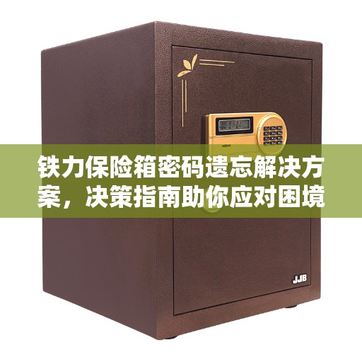 铁力保险箱密码遗忘解决方案，决策指南助你应对困境