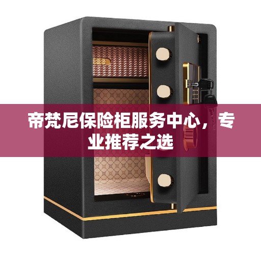 帝梵尼保险柜服务中心，专业推荐之选