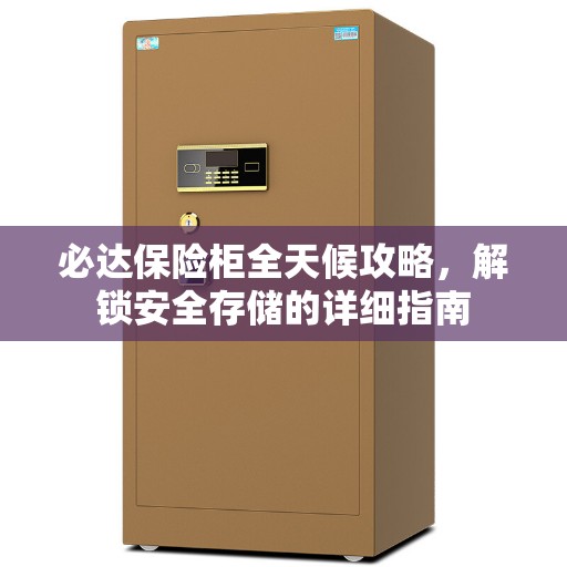 必达保险柜全天候攻略，解锁安全存储的详细指南