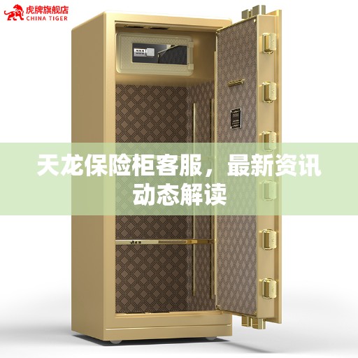 天龙保险柜客服，最新资讯动态解读