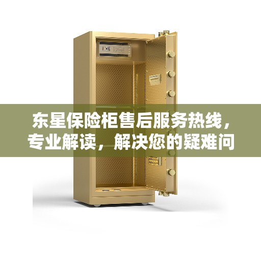 东星保险柜售后服务热线，专业解读，解决您的疑难问题