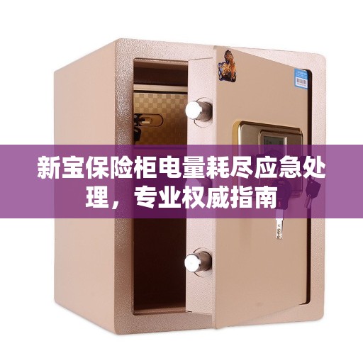 新宝保险柜电量耗尽应急处理，专业权威指南