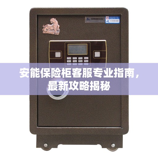 安能保险柜客服专业指南，最新攻略揭秘