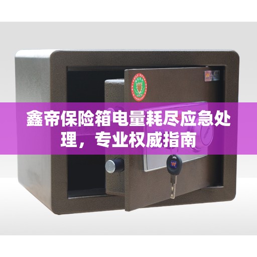 鑫帝保险箱电量耗尽应急处理，专业权威指南