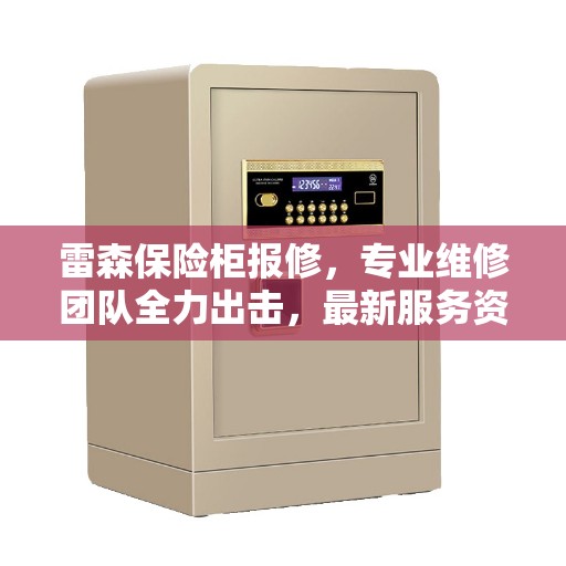 雷森保险柜报修，专业维修团队全力出击，最新服务资讯一网打尽