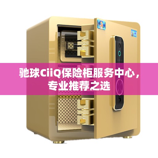 驰球CiiQ保险柜服务中心，专业推荐之选