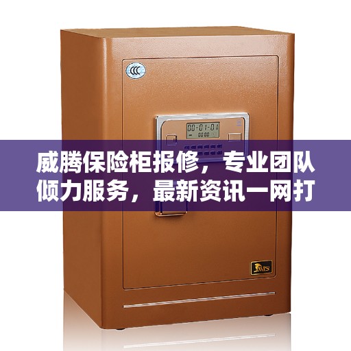 威腾保险柜报修，专业团队倾力服务，最新资讯一网打尽