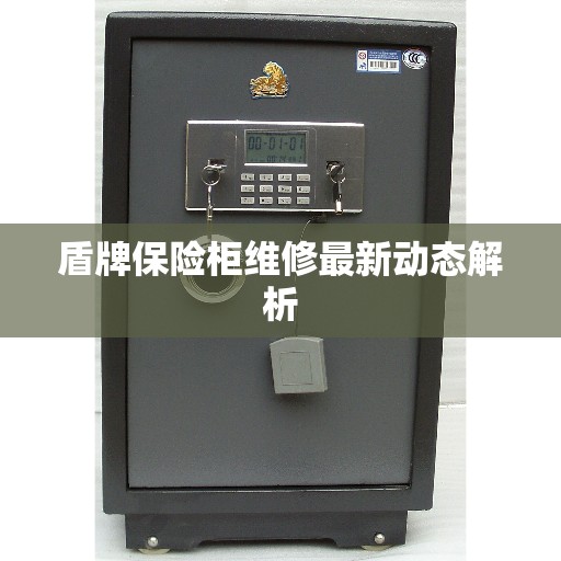 盾牌保险柜维修最新动态解析 盾牌保险柜维修最新动态解析