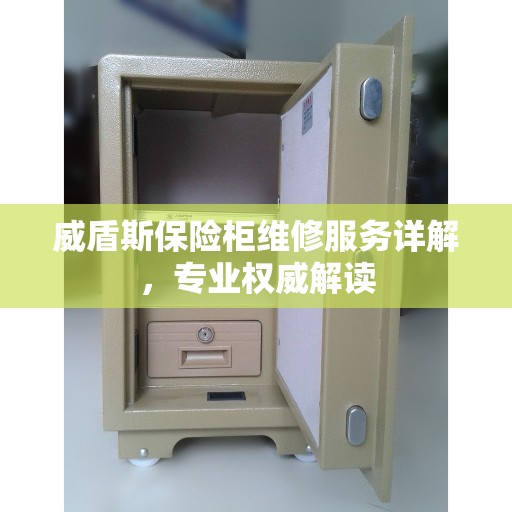 威盾斯保险柜维修服务详解，专业权威解读