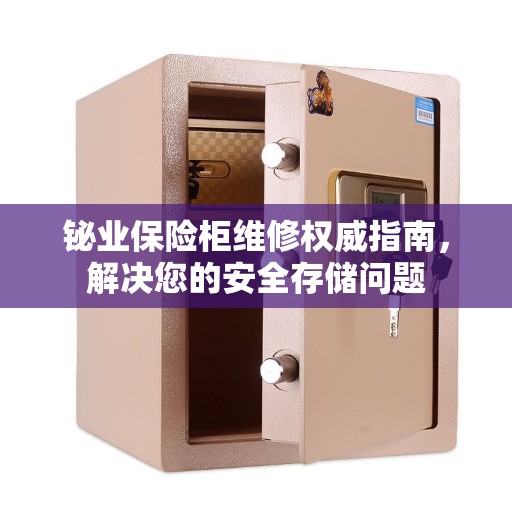 铋业保险柜维修权威指南，解决您的安全存储问题