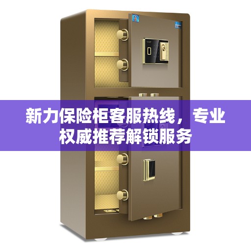 新力保险柜客服热线，专业权威推荐解锁服务