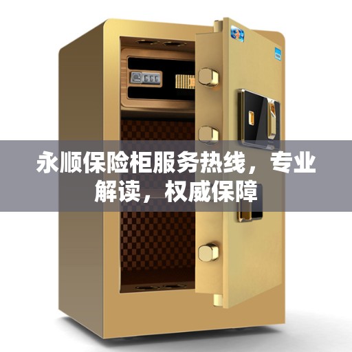 永顺保险柜服务热线，专业解读，权威保障