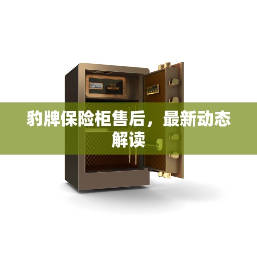 豹牌保险柜售后,最新动态解读 豹牌保险柜售后,最新动态解读