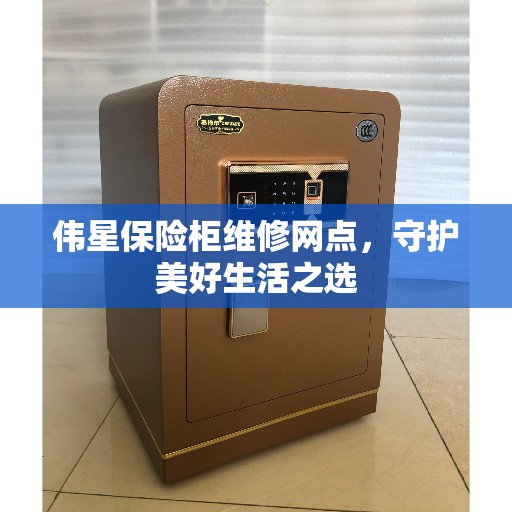 伟星保险柜维修网点，守护美好生活之选