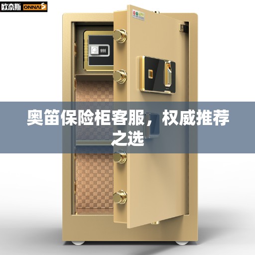 奥笛保险柜客服，权威推荐之选