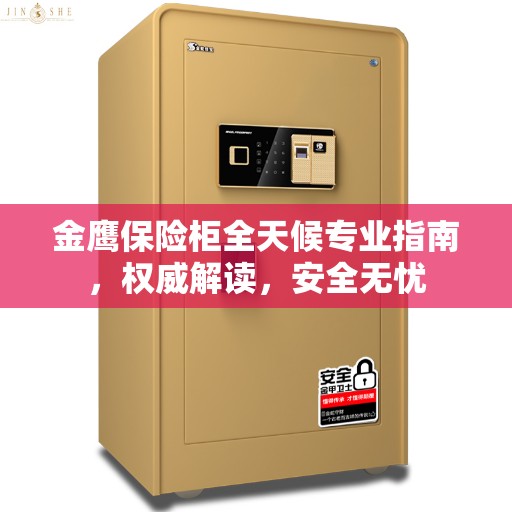 金鹰保险柜全天候专业指南，权威解读，安全无忧