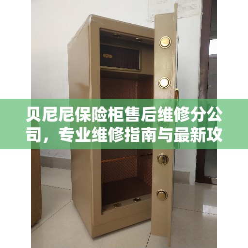 贝尼尼保险柜售后维修分公司,专业维修指南与最新攻略 贝尼尼保险柜售后维修分公司,专业维修指南与最新攻略