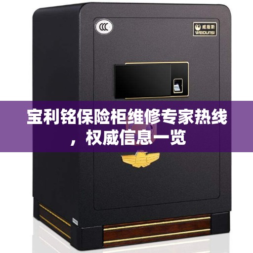 宝利铭保险柜维修专家热线,权威信息一览 宝利铭保险柜维修专家热线,权威信息一览