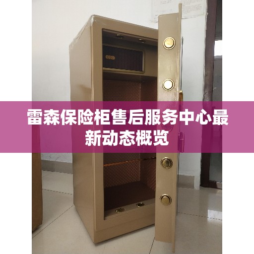 雷森保险柜售后服务中心最新动态概览