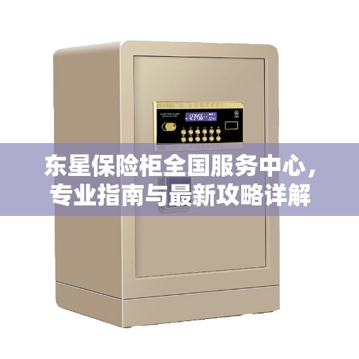 东星保险柜全国服务中心，专业指南与最新攻略详解