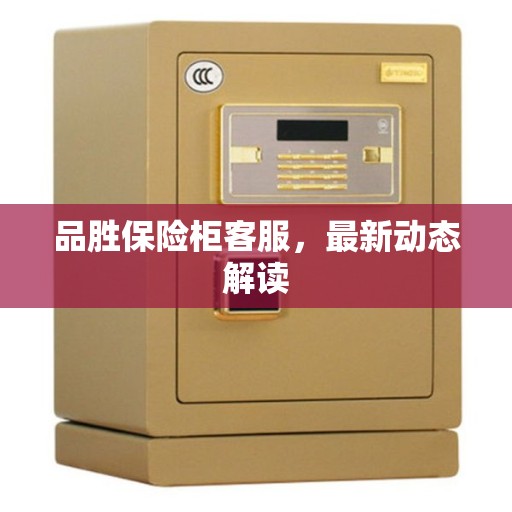 品胜保险柜客服，最新动态解读