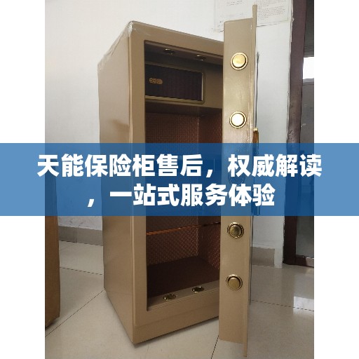 天能保险柜售后，权威解读，一站式服务体验