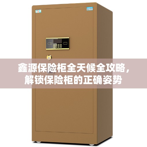 鑫源保险柜全天候全攻略，解锁保险柜的正确姿势