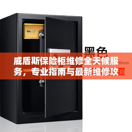 威盾斯保险柜维修全天候服务，专业指南与最新维修攻略