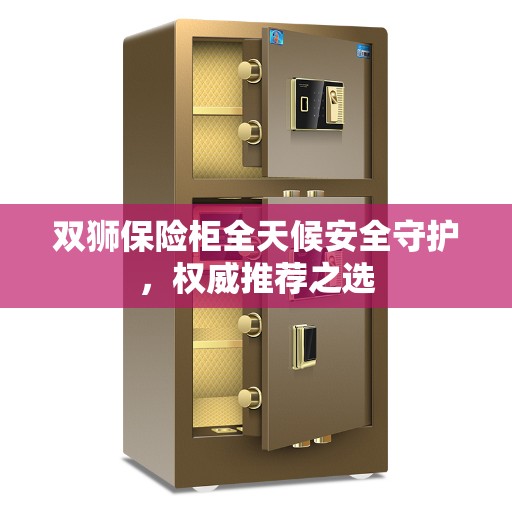 双狮保险柜全天候安全守护，权威推荐之选