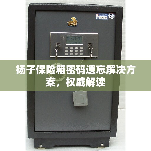 扬子保险箱密码遗忘解决方案，权威解读