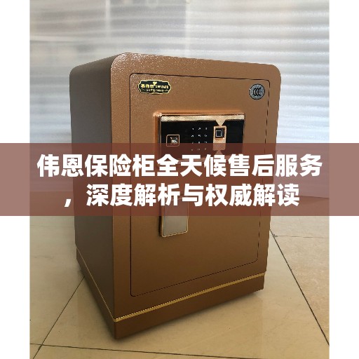 伟恩保险柜全天候售后服务，深度解析与权威解读